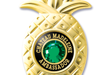 Ambassador Badge