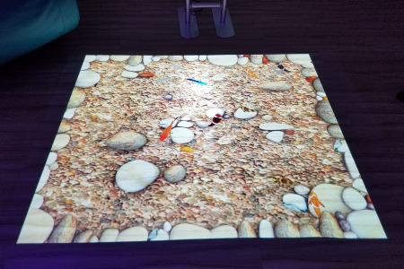 Interactive floor projector koi pond