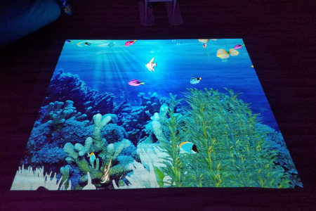 Interactive floor projector fish under the sea