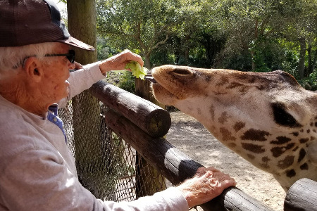 Enjoying The Outdoors